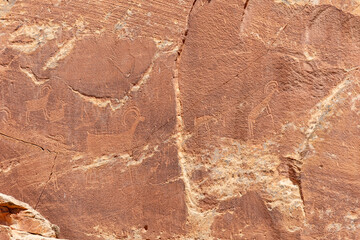 Petroglyphs at Capitol Reef National Park.