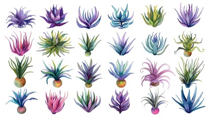 Vibrant Collection of Diverse Succulent Houseplants and Cacti in Natural Setting