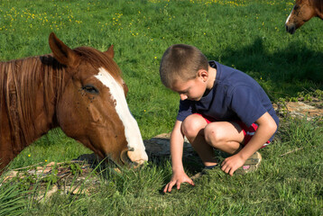 Enfant et Cheval