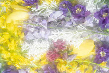 Lilac and yellow white spring flowers blurred behind wet glass. Abstract soft, light floral...