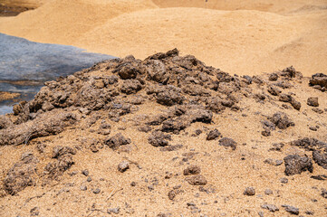 もみ殻を使った堆肥作り