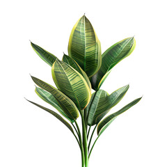 The photo of artificial plant isolated on black background.