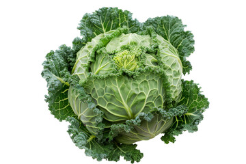 Green Cruciferous vegetable for dairy food isolated on background, Natural fresh green leaves with high fiber and vitamin.