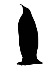 Silhouette image of emperor penguin isolated 