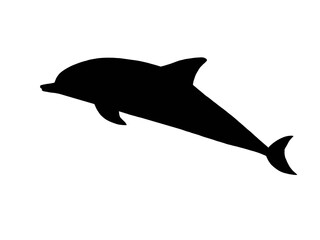 silhouette image of swimming dolphin isolated 