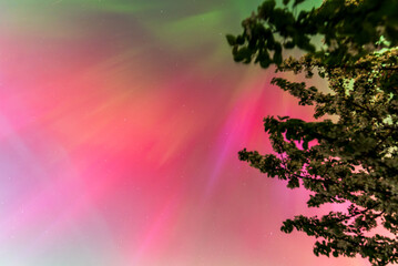 Aurora borealis, The Northern lights at Kuldiga, Latvia.