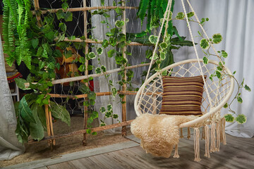 A modern cozy beautiful room with a braided rope macrame chair, green plant Diffenbachia and...