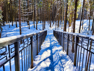 Snow-Covered Bridge in a Pine Forest on a Sunny Winter Day. A bridge blanketed with snow winds...