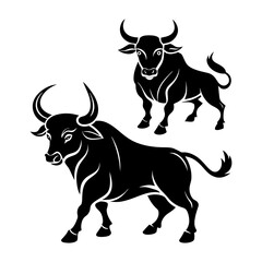 bull isolated on white