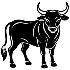 black and white cow