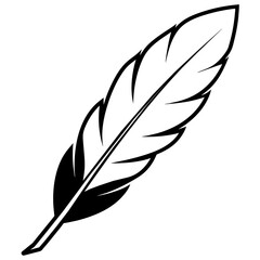 Obraz premium feather on white