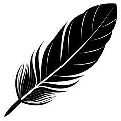 Fototapeta premium feather