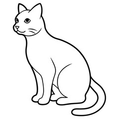 black cat illustration