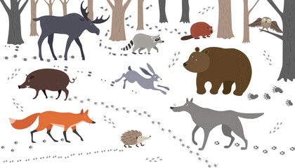 A set of forest animals and their footprints - hare, fox, wild boar, wolf, bear, elk, hedgehog, beaver and raccoon. Vector hand drawn illustration.