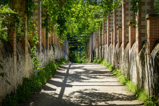 view of a beautiful green path in a park