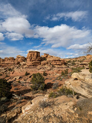 Fototapeta premium Spring Canyonlands Needles District Moab Utah