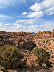 Spring Canyonlands Needles District Moab Utah
