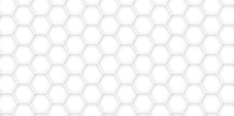 White Hexagonal Background. Luxury White Pattern. Vector Illustration. 3D Futuristic abstract honeycomb mosaic white background. geometric mesh cell texture. modern futuristic wallpaper.