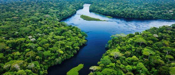 Obraz premium Aerial view of a winding river through a lush green forest