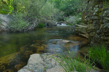 Naklejka premium landscape, view, nature, plants, water, stream, mountain, flora,
