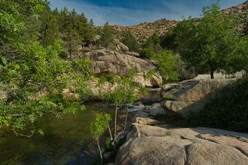 landscape, view, nature, plants, water, stream, mountain, flora,