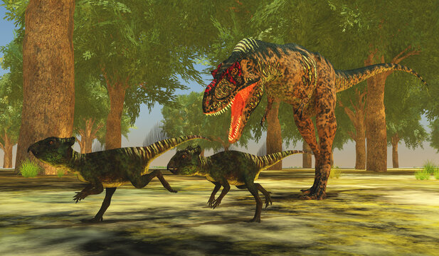 Albertosaurus attacks Archaeoceratops - Theropod Albertosaurus runs after a couple of herbivorous Archaeoceratops during the Cretaceous period of North America.