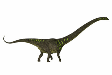 Mamenchisaurus youngi Side Profile - Mamenchisaurus was a plant-eating sauropod dinosaur from the late Jurassic Period of China.