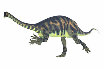 Massospondylus Dinosaur Running - Massospondylus was a prosauropod dinosaur from the Jurassic Age of Africa and was a herbivore.