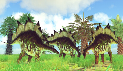 Stegosaurus Herd eating Plants - Stegosaurus was an armored herbivorous dinosaur that lived in North America during the Jurassic Period.