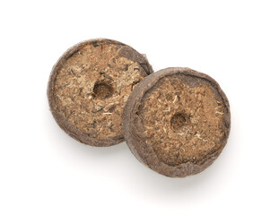 Two seed starting peat pellets