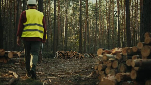 A specialist in a light orange vest and specialized clothing is engaged in the tasks of cutting down trees. Its presence at the site provides control over the cutting process