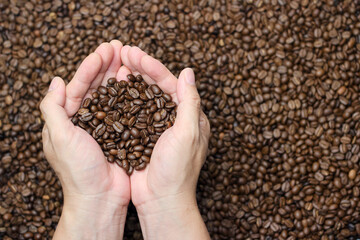 Two woman hands holding coffee beans over a coffee beans background.
