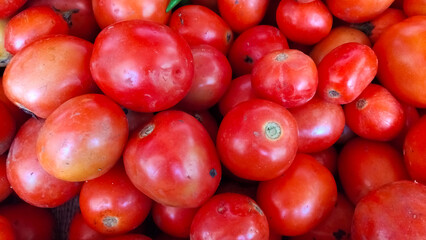 Close-up of Colorful Tomatoes, organic tomatoes