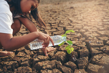 Asian girl planting tree and watering seedling on dry and crack ground to restore and change earth...