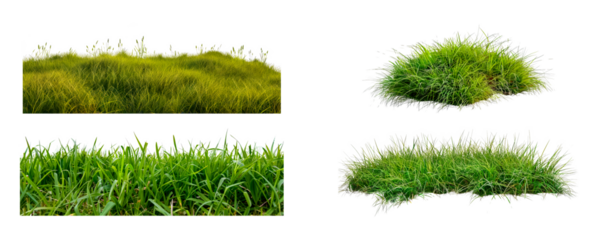 Set of grass patches on transparent background for design isolated transparent PNG background