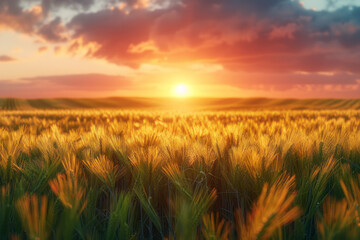 Surreal depiction of an endless field of barley, bending into the horizon under a setting sun,