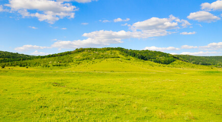 Green meadow, trees and hills. Wide photo.