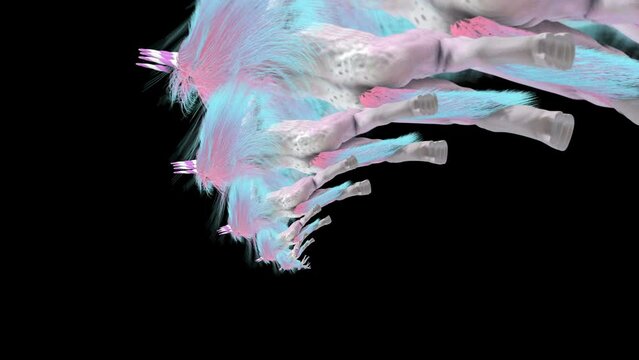 Seamless funny animation of a crazy unicorn dancing with long rainbow hair with tunnel effect