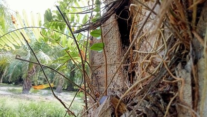 Happiness in the midst of nature.