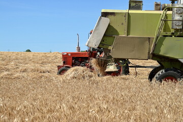 Fototapeta premium Combine.