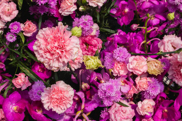 backdrop of beautifully arranged flower and bright colors is backdrop for flower in beautifully arranged garden at flower festival. Beautiful colorful background with Copy Space for inserting text.