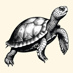Fototapeta premium Hand Drawn Turtle Watercolor Illustration Engraved Style