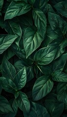 Lush Green Foliage Botanical Nature Background with Vibrant Organic Texture and Dense Detailed Leaves
