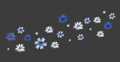 Vector spring pattern with cornflowers on a gray background. Bluet vector. Floral theme, summer patterns for various products, floral print for ceramic dishes or other products