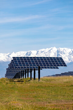 Solar panels in field with snowy mountain backdrop