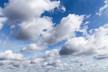 Obraz premium Beautiful light blue sky with many white fluffy cumulus clouds in sunlight, background texture, heaven