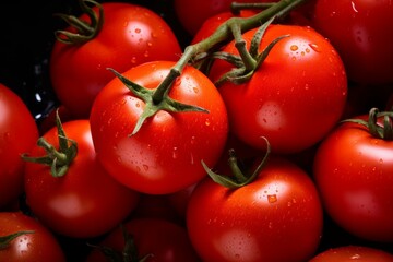Close-up of ripe red tomatoes with water droplets on a dark background