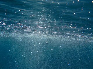 Air bubbles under the sea surface.