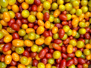 Cherry tomato red yellow orange mix