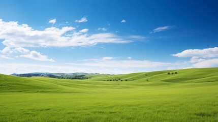 Obraz premium A green field stretches out under a sky filled with fluffy white clouds and a vibrant blue hue. The scene conveys a sense of open space and tranquility.